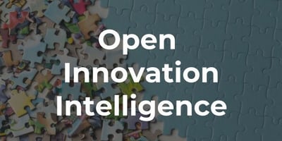 A puzzle illustrating the complexity of the Open Innovation environment