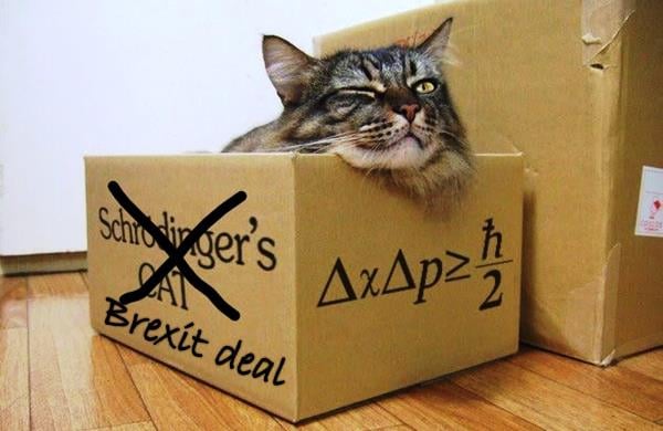 schrodinger_cat_brexit_deal_intro